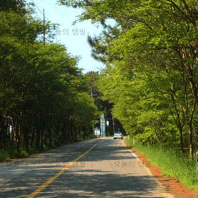 2021 5월 태안캠핑 @ 바다여행파크 캠핑장