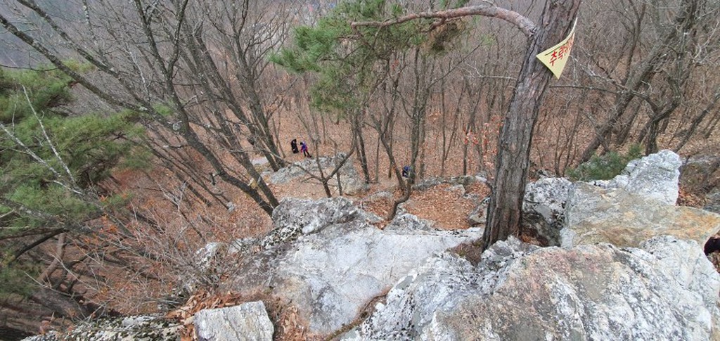 팔봉산관광지 야영장