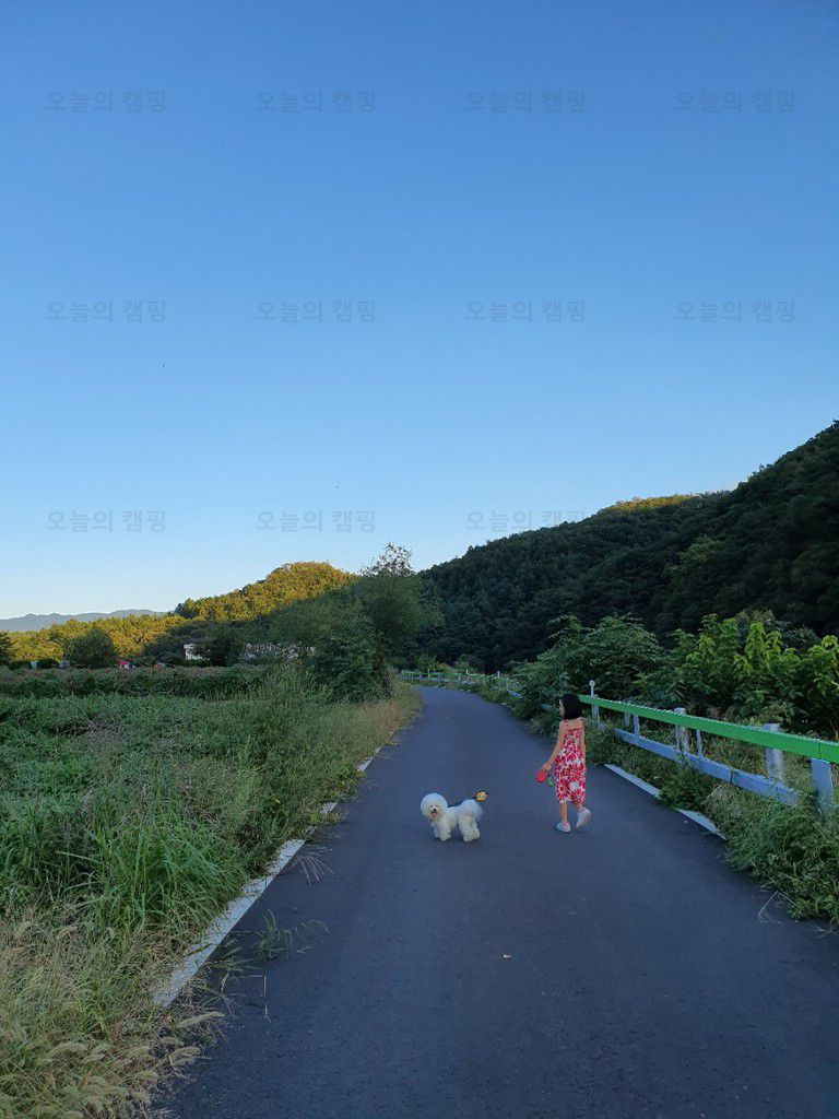 달콤한 캠핑장