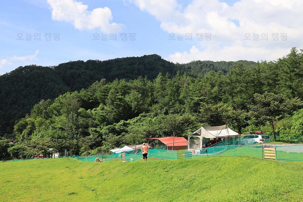 개똥이네캠핑장