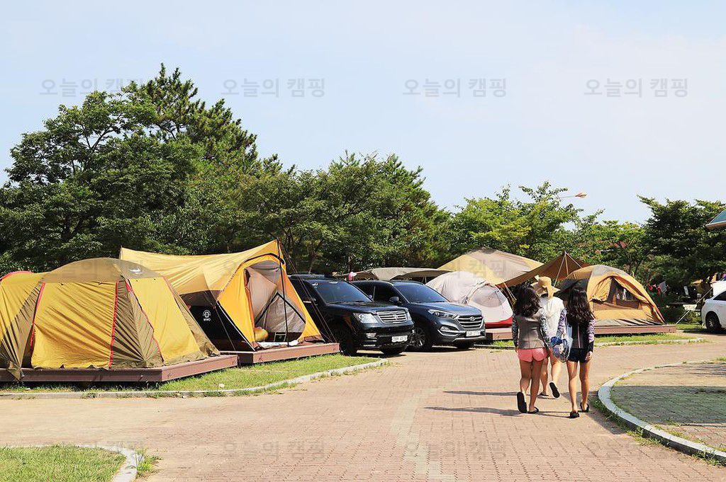 송지호오토캠핑장