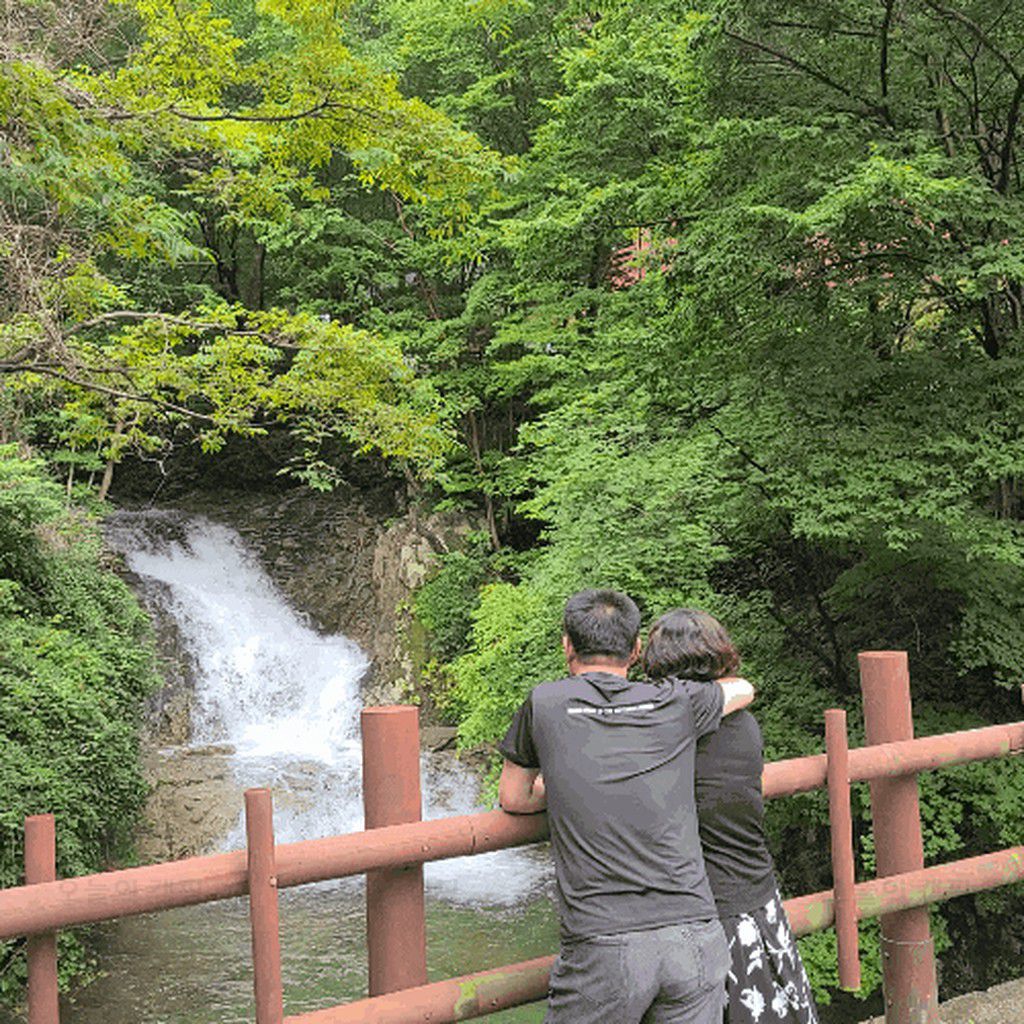 재약산 숲 야영장