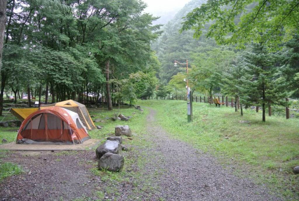 태백산 국립공원야영장