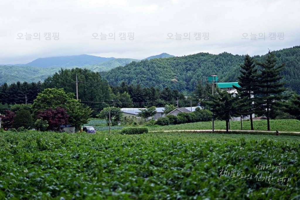 쪽빛하늘 캠핑장&펜션