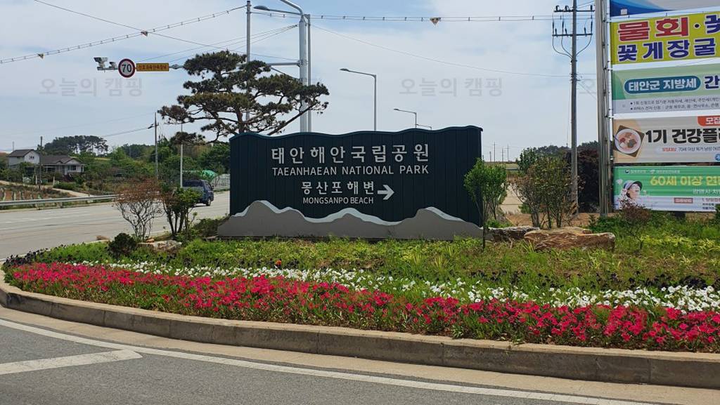 몽산포 오토캠핑장 2구역