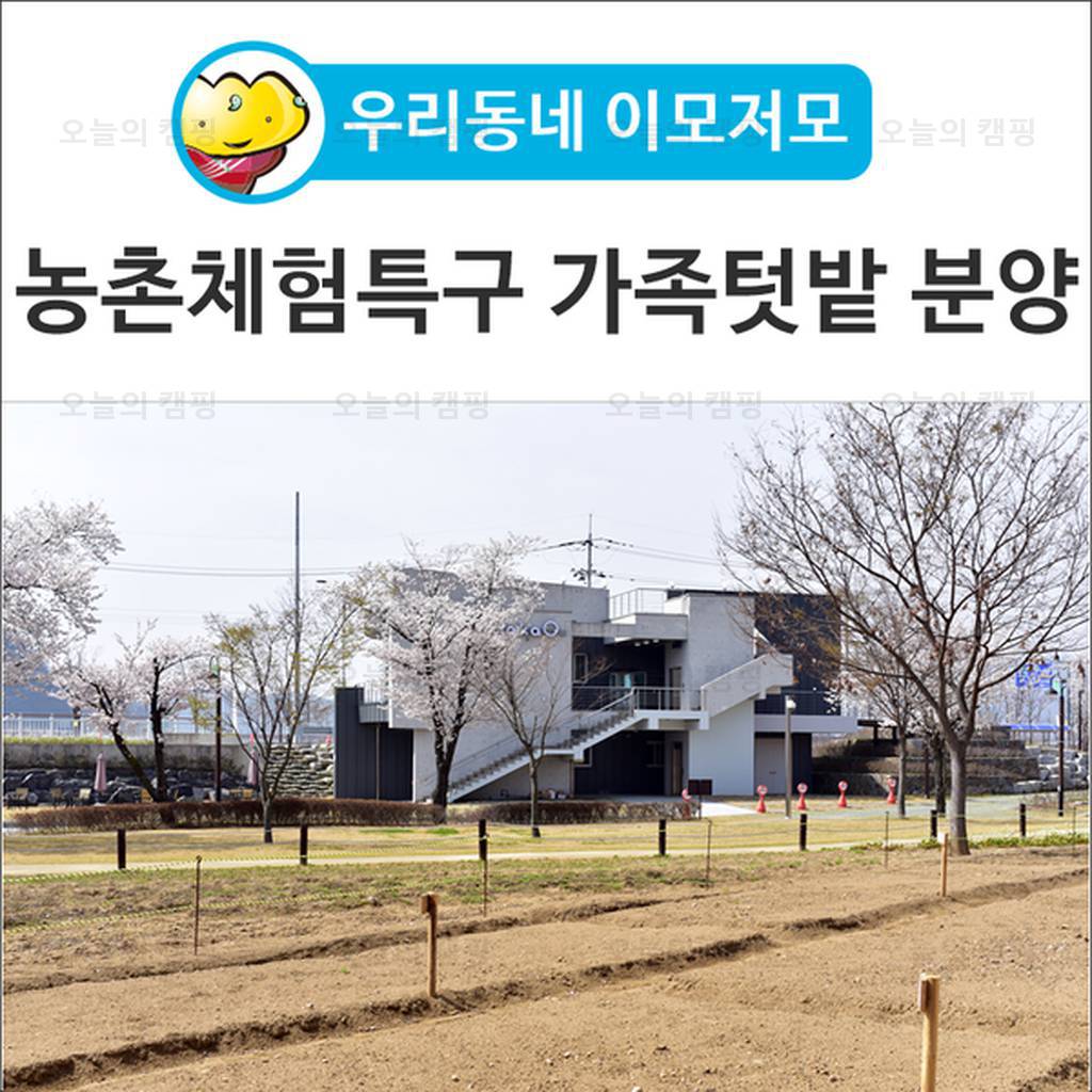 대가야농촌문화체험특구 캠핑장