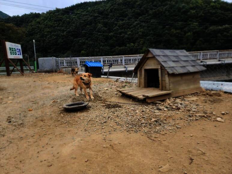 송계계곡 숙박단지