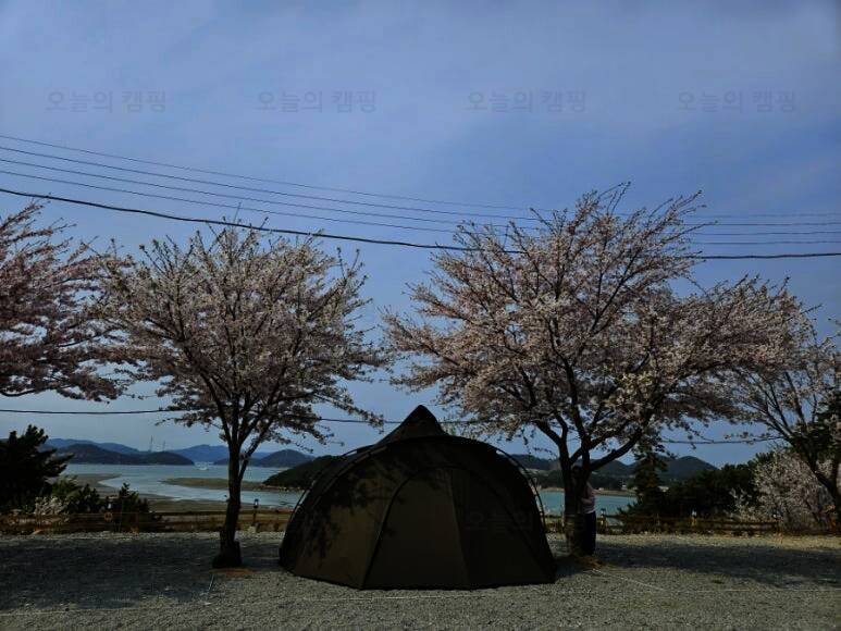 가로림만라모스야영장