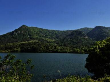 주작산자연휴양림 야영장