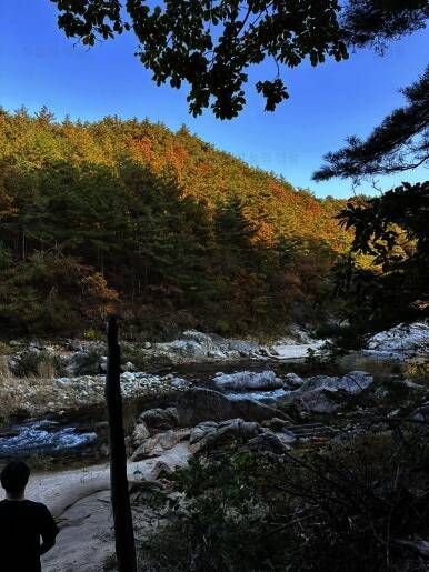 광민이네 오토캠핑장