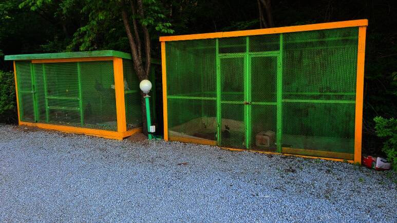 양평꿈의글램핑