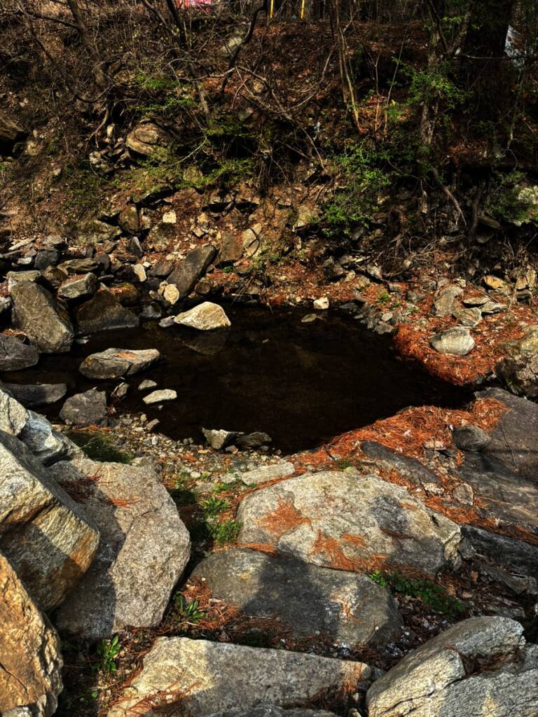 비니비니글램핑