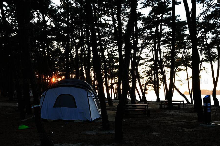 지리산길섶 솔숲야영장
