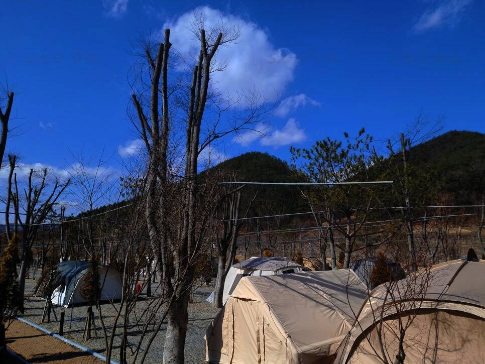 옥화 포시즌캠핑장