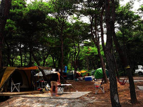 명성가족캠핑촌