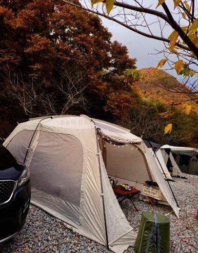 숲과 개울 오토캠핑장&펜션