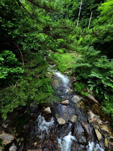 만산동 국민여가 캠핑장