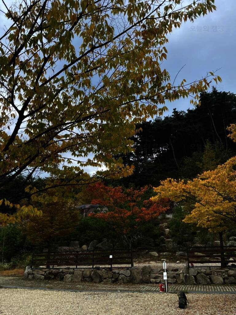 여수 밤바다 관광농원야영장