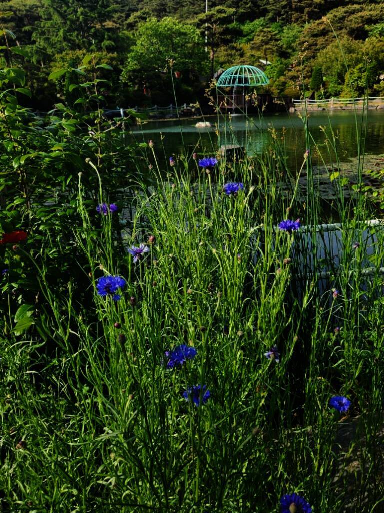 다울관광농원 야영장