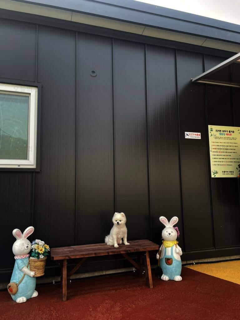 쏘쿨이네 글램핑