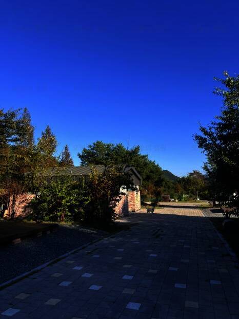 황토둥지캠핑체험장