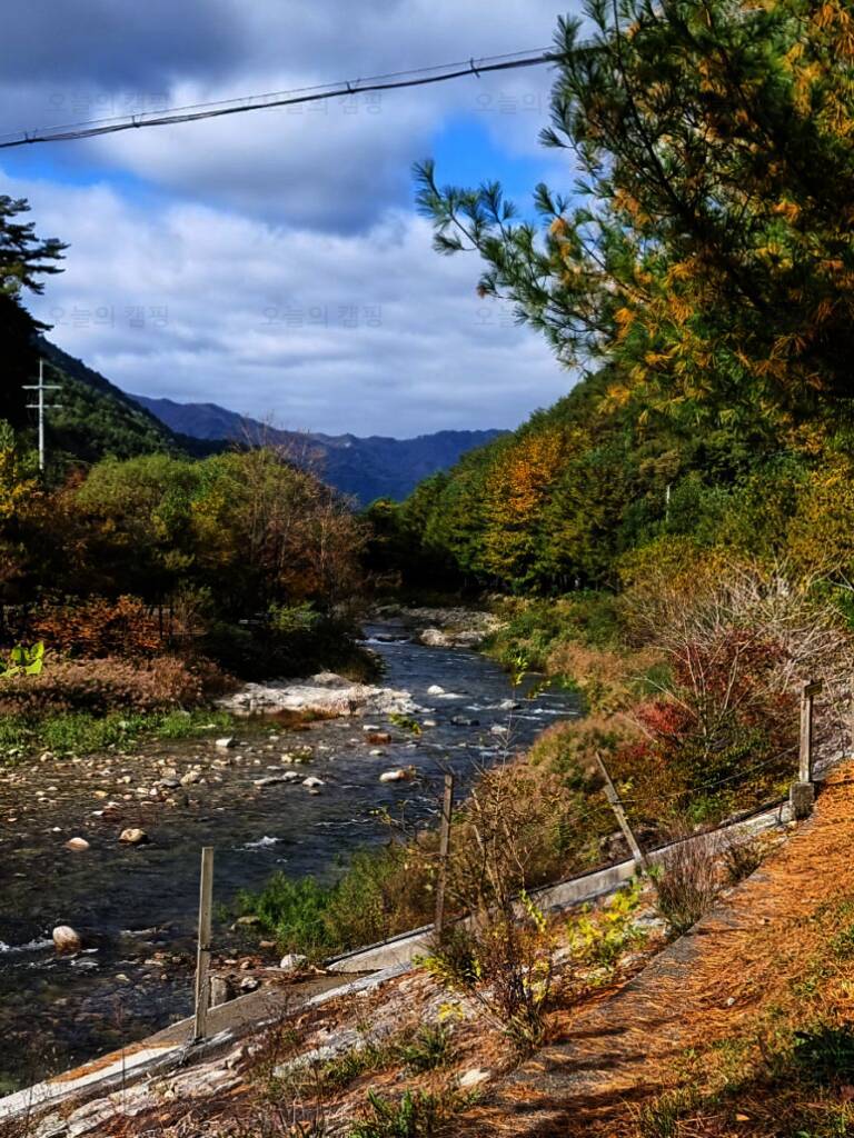 영월가자 펜션&캠핑장