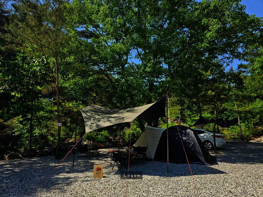 덕동리301캠핑장