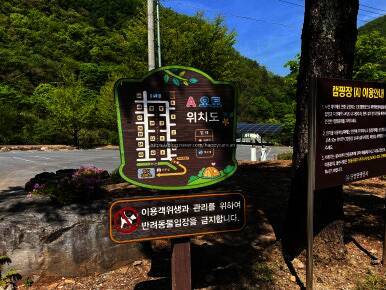 천동오토캠핑장