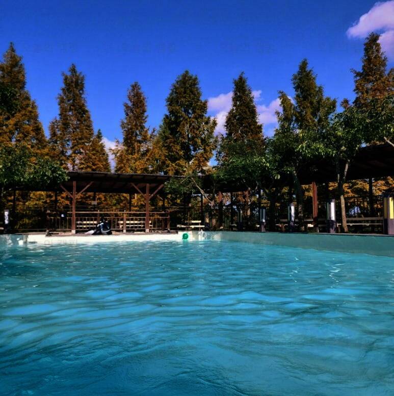 바보온달 리조트