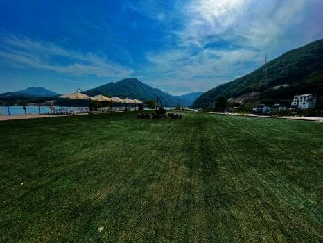 캠프통 아일랜드