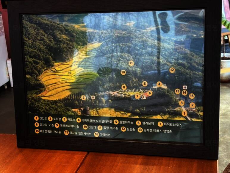 더힐링식물원 야영장