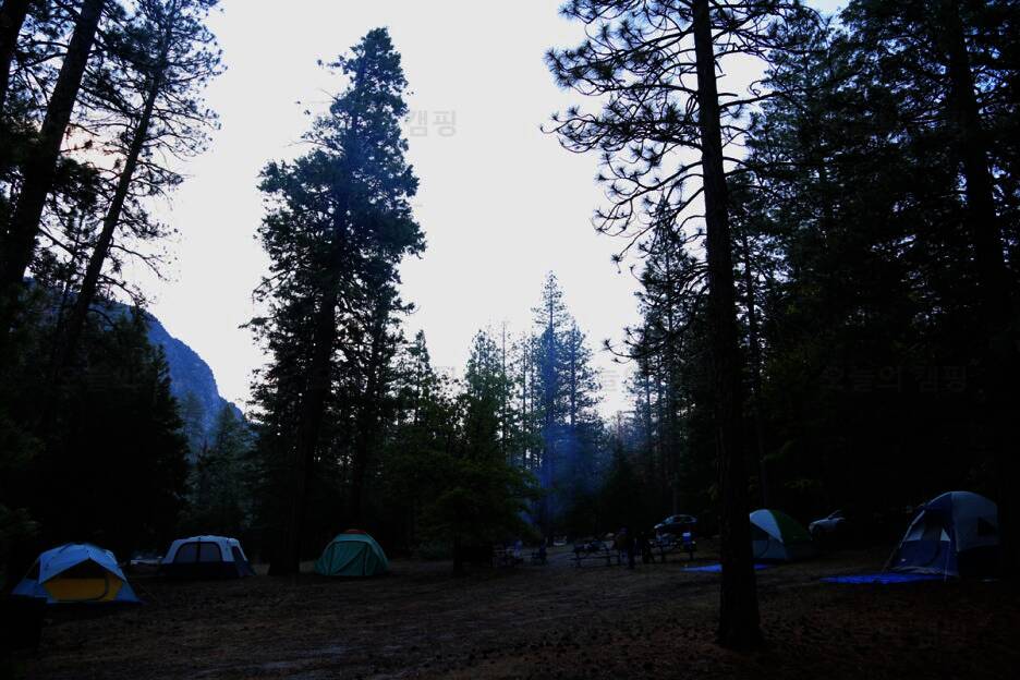 그로브(grove)캠핑