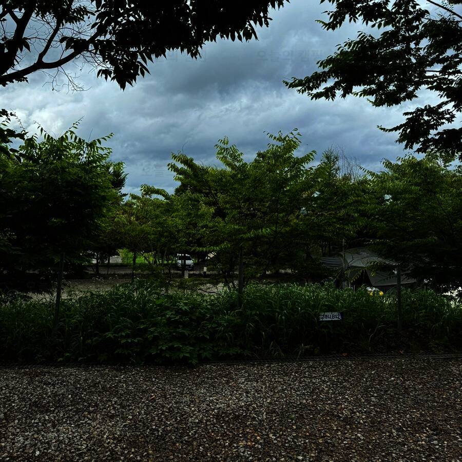 산머루농원캠핑장