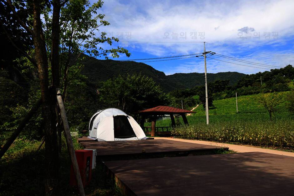 연포분교야영장