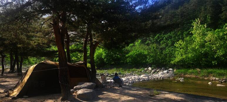 소금강 장천마을 캠핑장