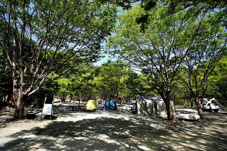 약초농원 캠핑장