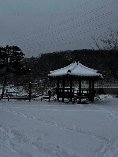 초막골생태공원 느티나무야영장