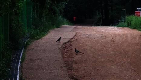 두바퀴로 가는 자동차 관광농원