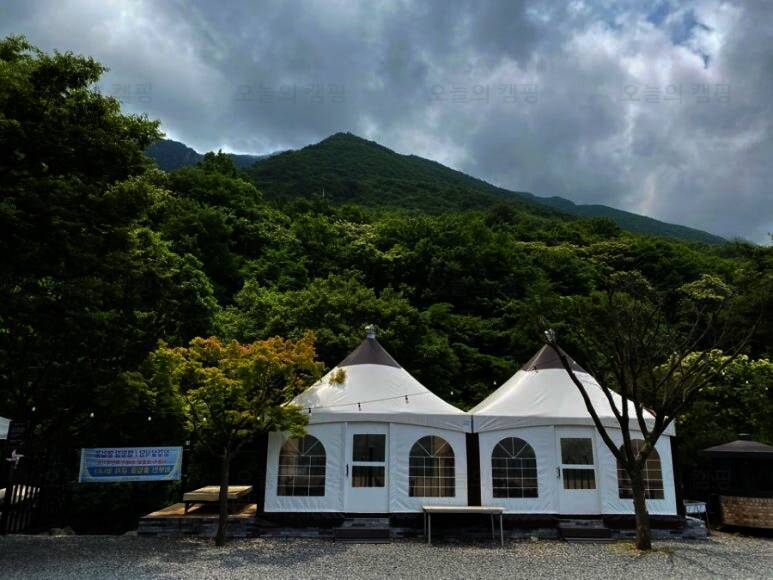캠핑가는 날