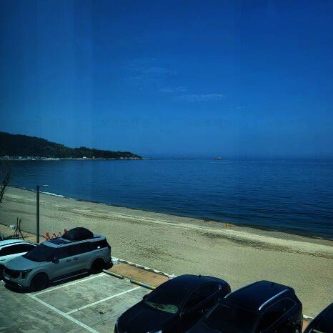 창바우마을 해송피크닉장