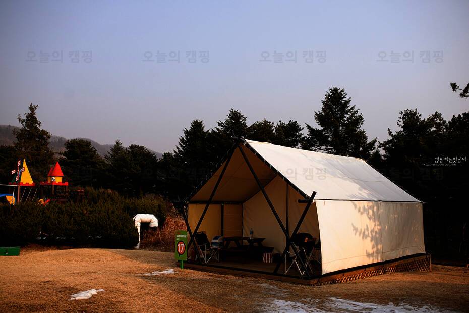 MK골드캠프