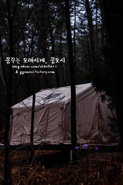 우니메이카 태안점