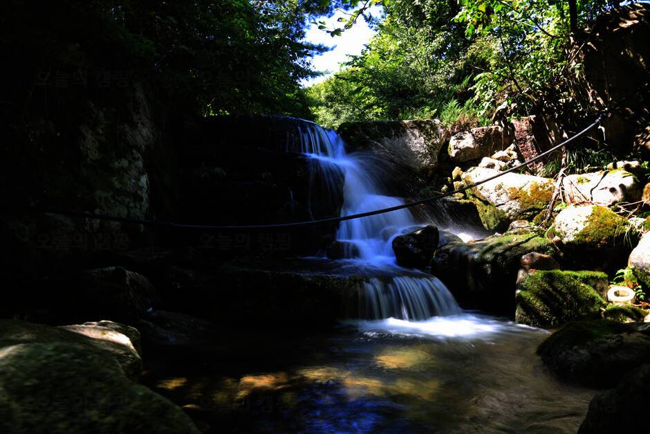 광덕그린농원 야영장