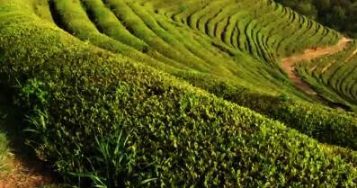 음성농촌관광농원(농업회사법인 하나주식회사)