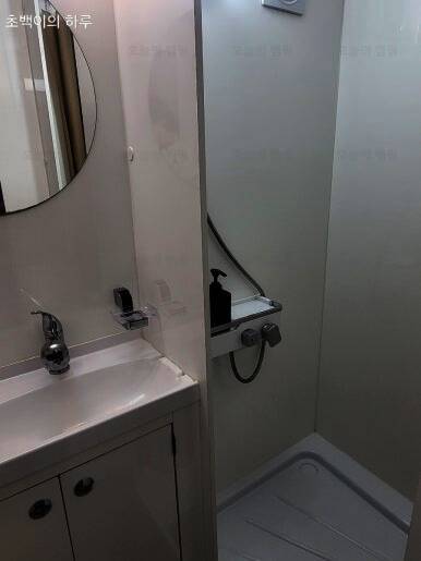 더 숨 포레스트