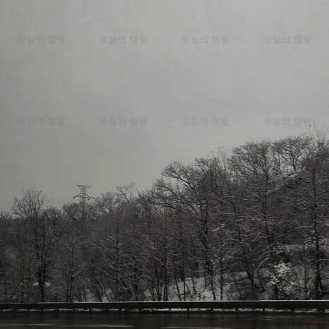 도그랜드 캠핑장