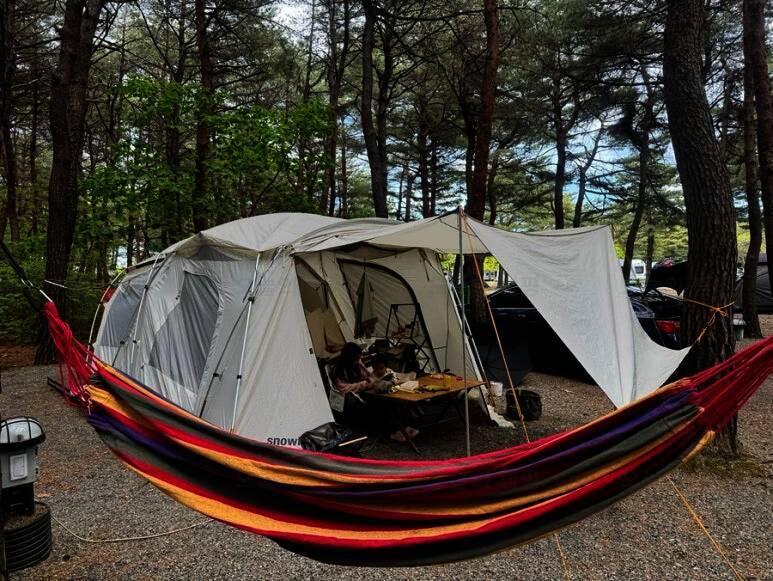 양양 솔바다 캠핑장