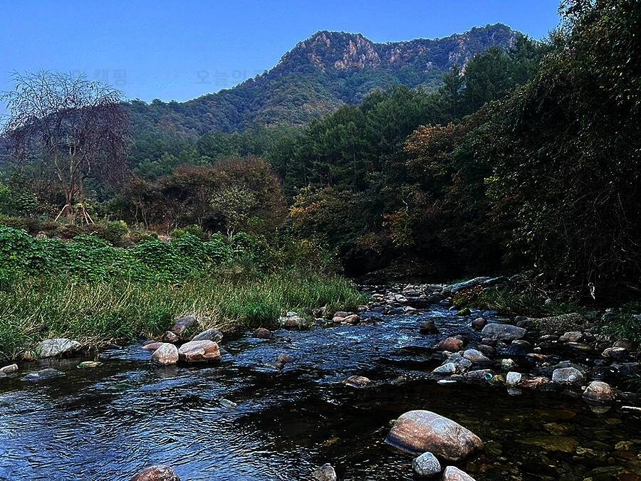 양평카라반파파