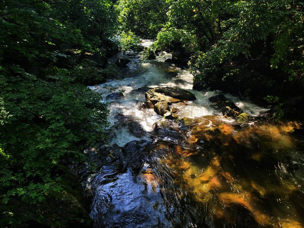 꿈꾸는 계곡 야영장