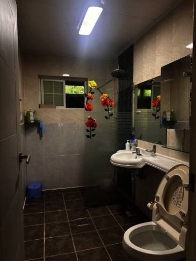 영월산여울캠핑장